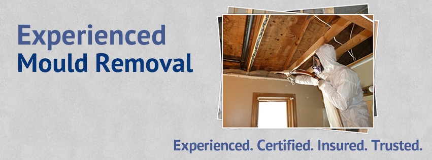 Ontario Mould Specialists Ltd. - Cover photo