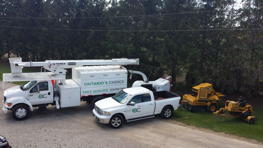 Ontario&s;s Choice Tree Service Inc - Cover photo