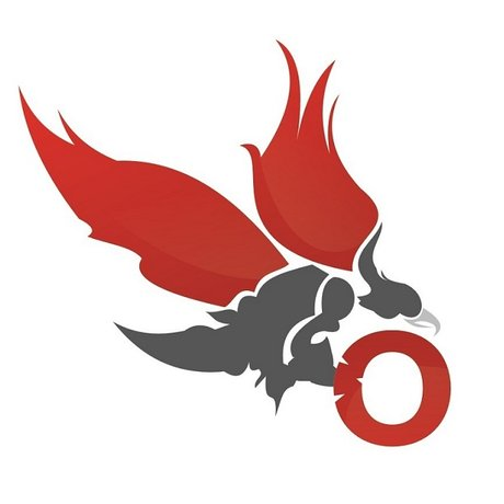 Onyx-Fusion Canada Inc - Logo