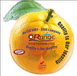 Orange Exim Pvt Ltd 413903 - Logo