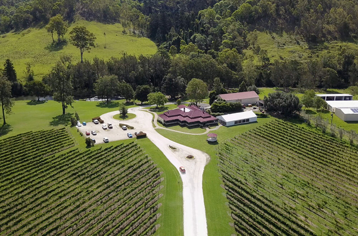 O'Reilly's Canungra Valley Vineyards - Logo