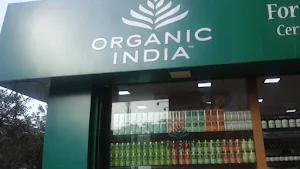 Organic India - Cover photo