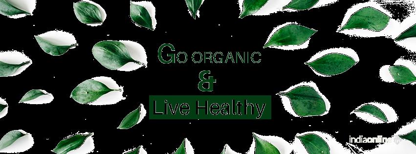 Organica Online - Cover photo
