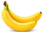Organic Banana Cultivation - Logo