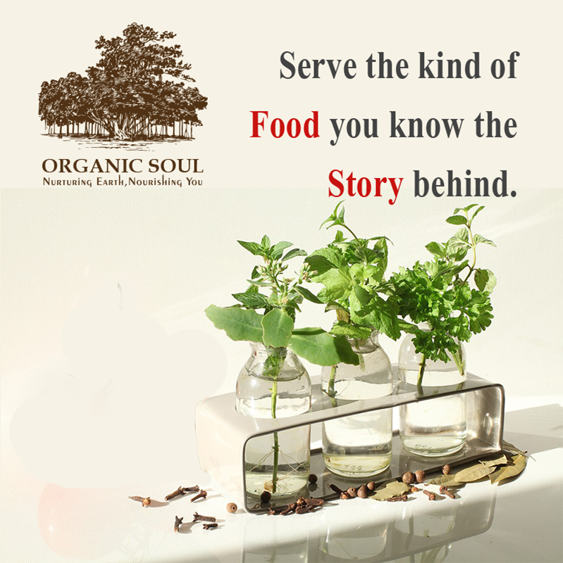 Organic Soul - Cover photo