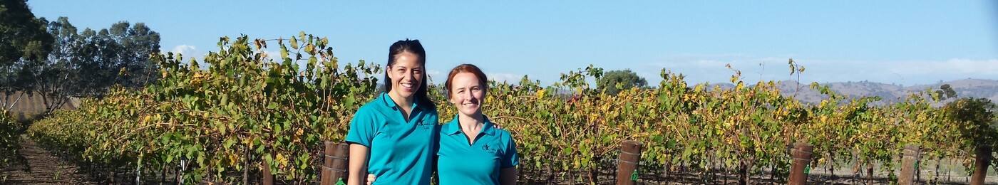 OT Country Care - Cover photo