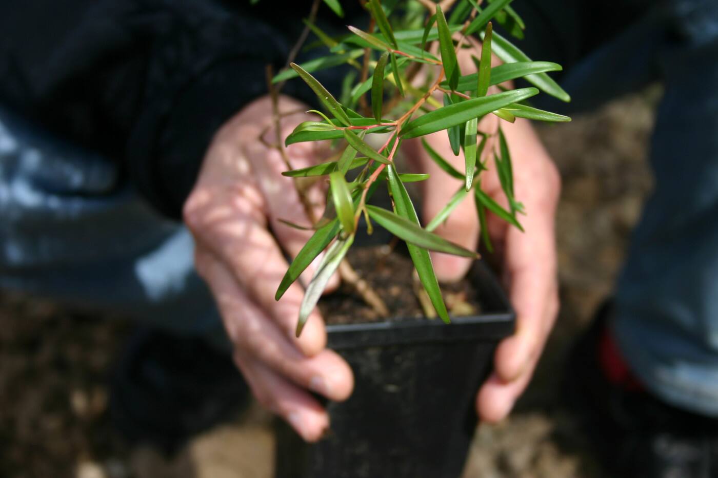 Oxley Creek Catchment Association Inc. - Cover photo