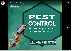 Ozone Pest Control - Logo