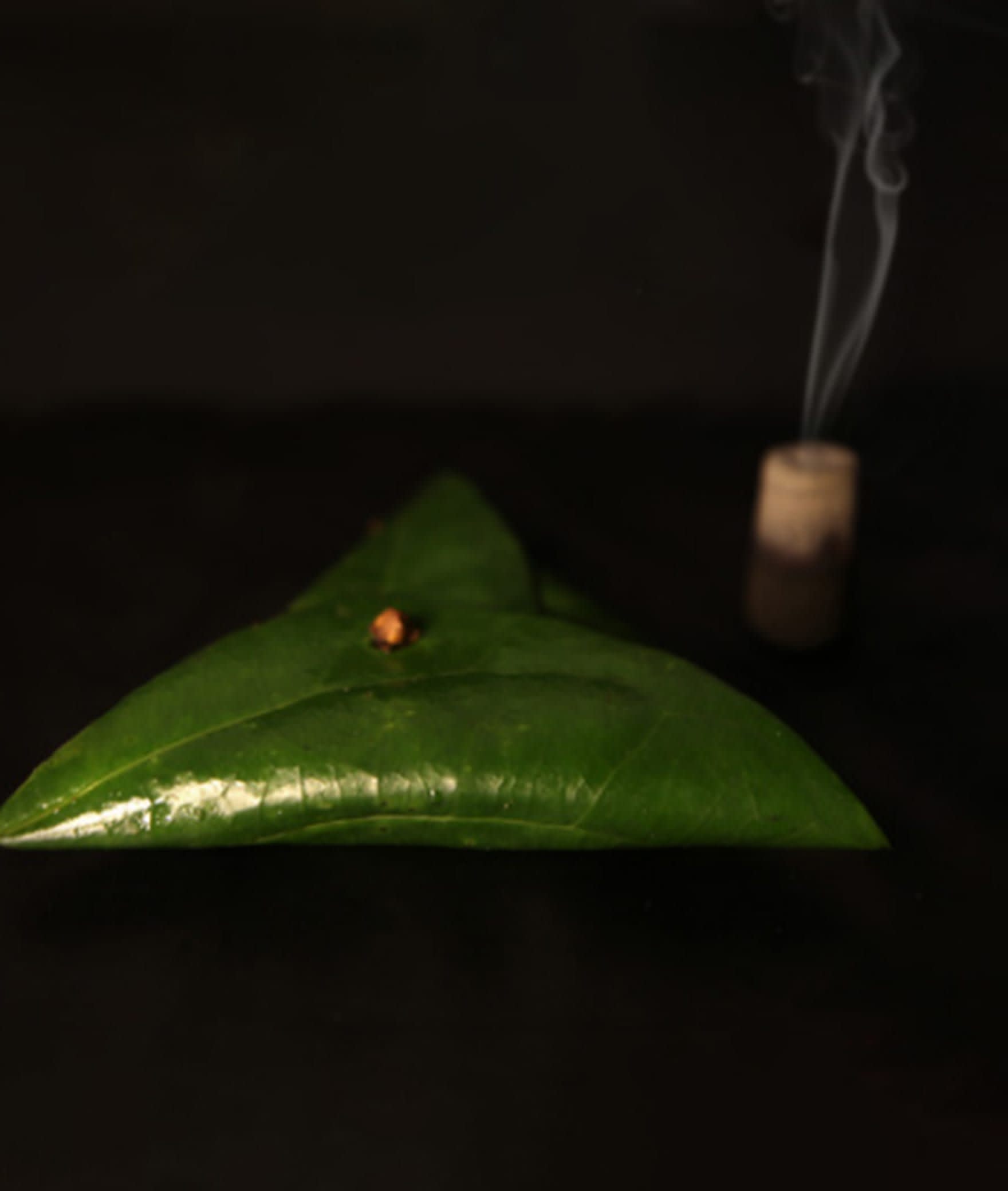 Paanden - Logo