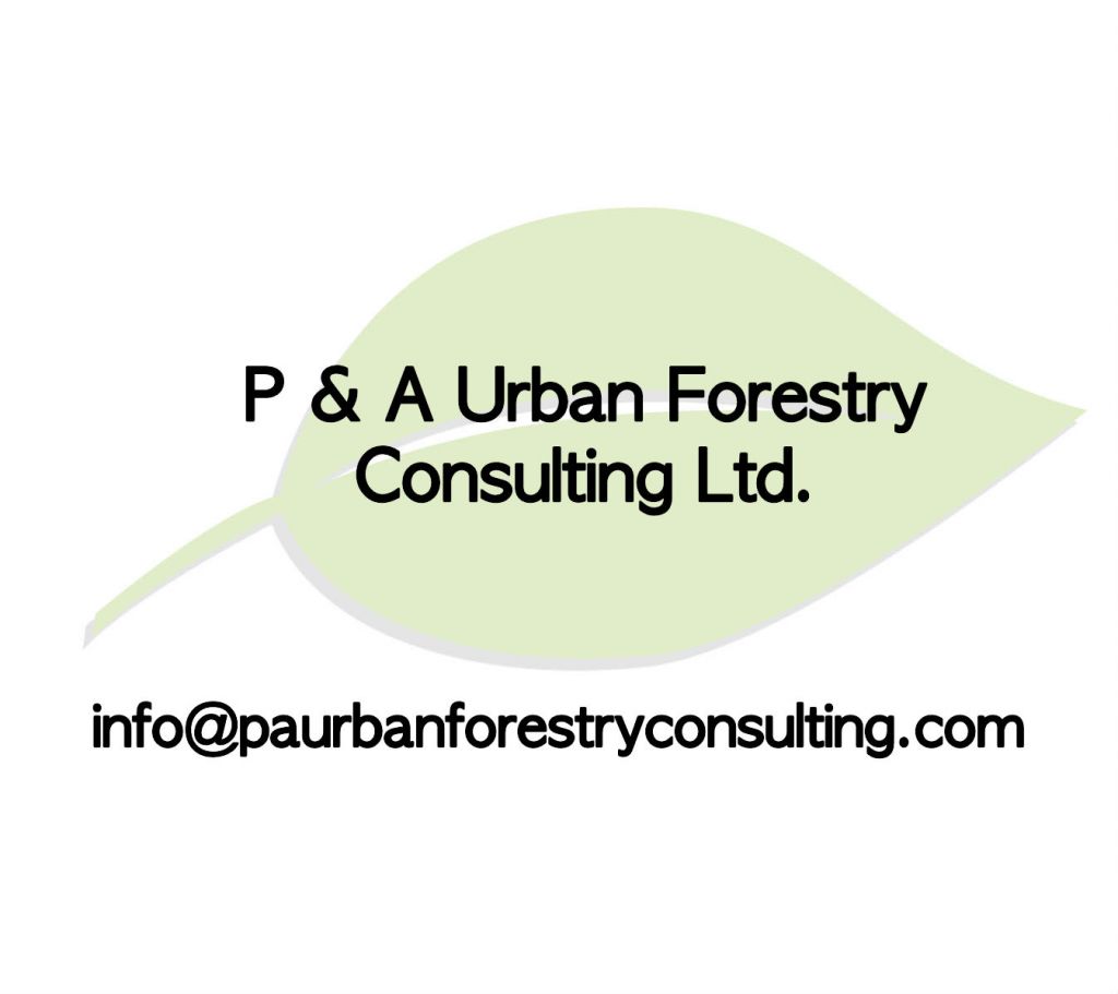 P &a; A Urban Forestry Consulting Ltd. - Logo