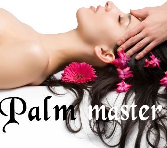 Palmmaster - Logo