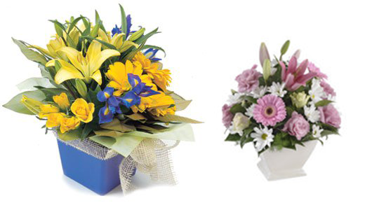 Palmwoods Florist - Logo