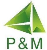 P &a; M - Analysis and Solutions Services - Logo