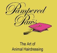 Pampered Paws Ltd - Logo