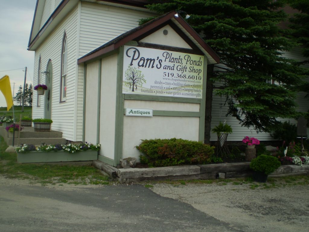 Pam&s;s Plants n Ponds Garden Centre &a; Gift Shop - Logo