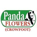 Panda Flowers Crowfoot - Logo