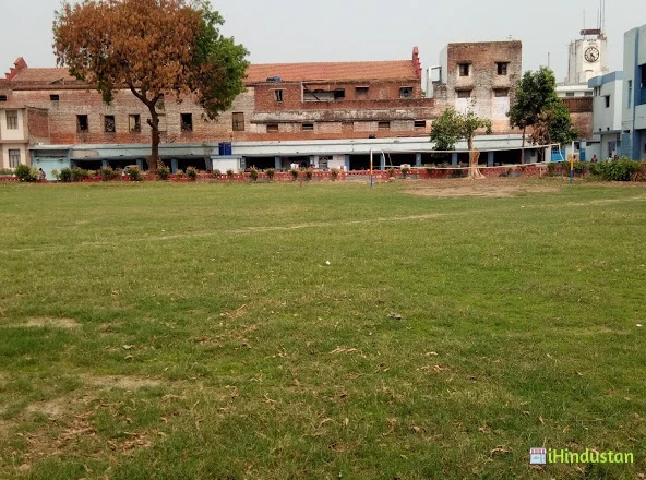 Pandit Prithi Nath College - Logo