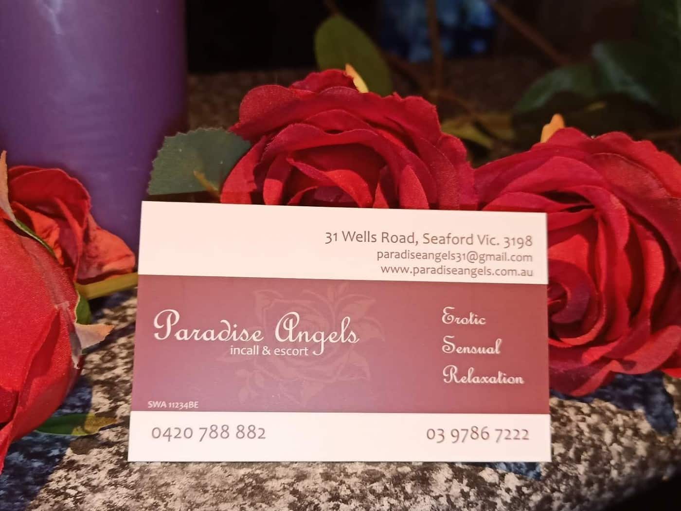 Paradise Angels - Cover photo
