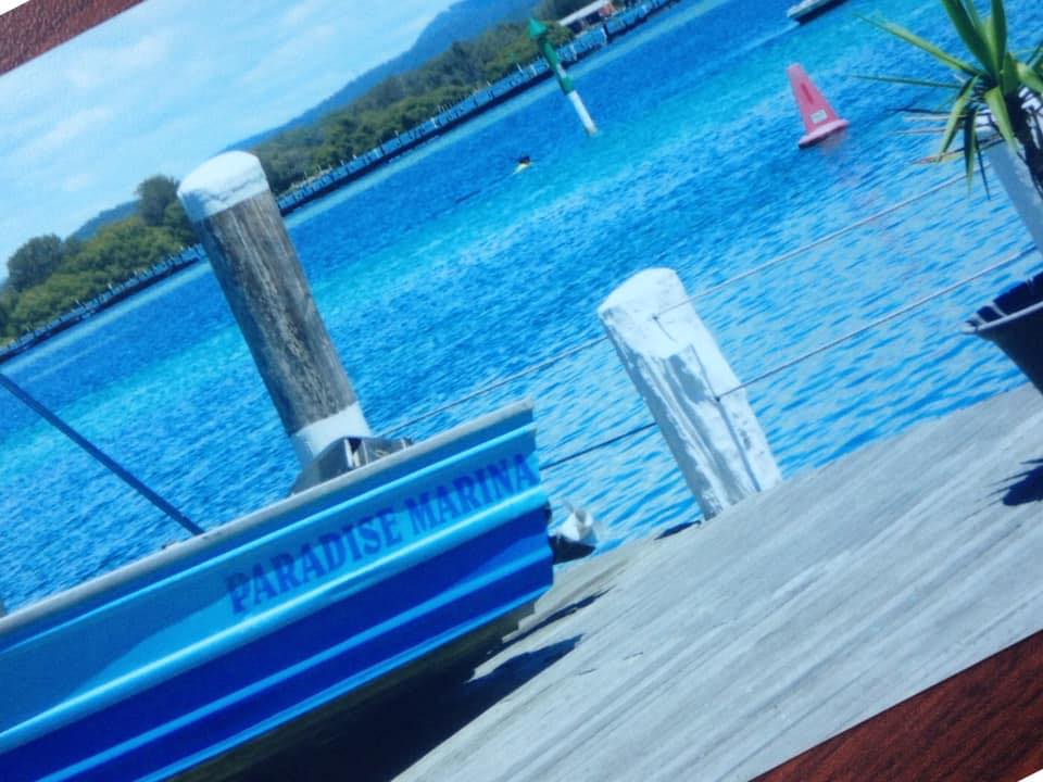 Paradise Marina - Cover photo