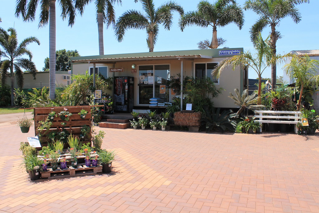 Paradise Nursery - Logo
