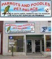 Parrots And Poodles Pet Palace - Logo
