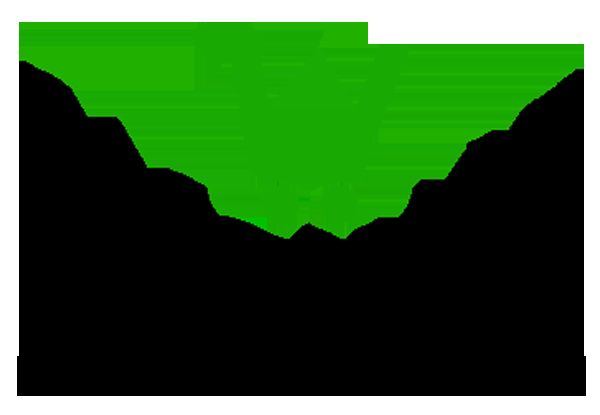 Pasquale Supermarkets - Logo