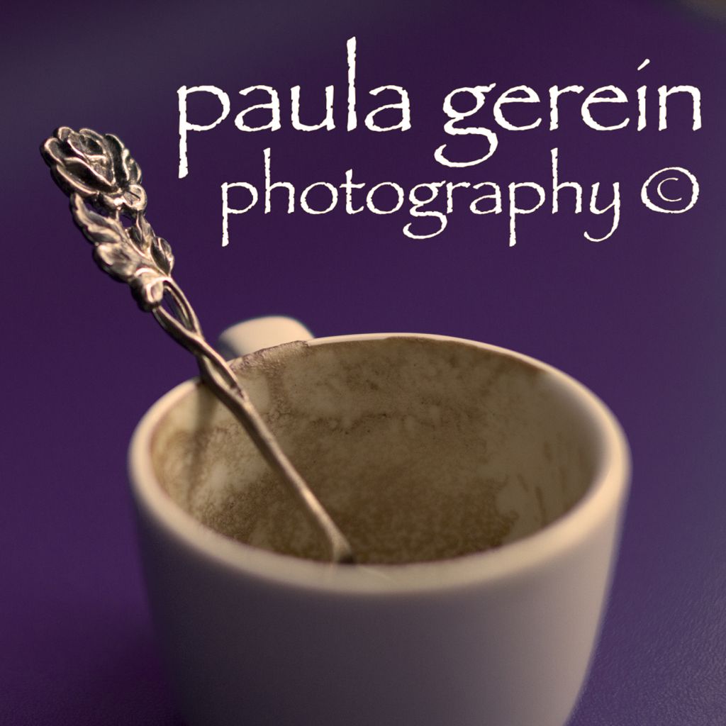 Paula Gerein Photography - Logo