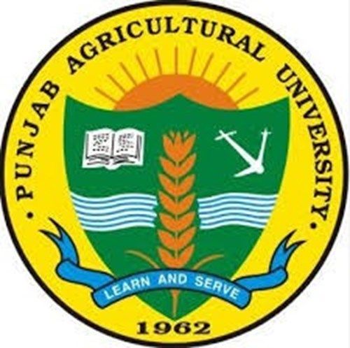 PAU Ludhiana (PAU) - Logo