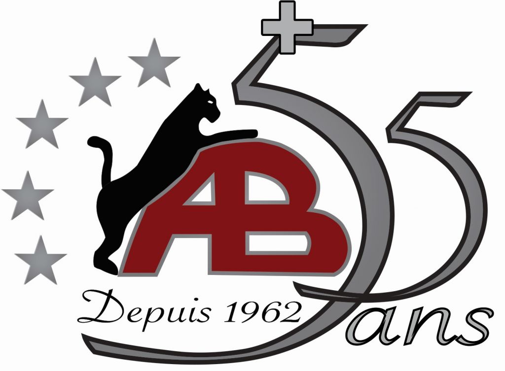 Pavage &a; Amenagement Paysager Antonio Borsellino Inc - Logo