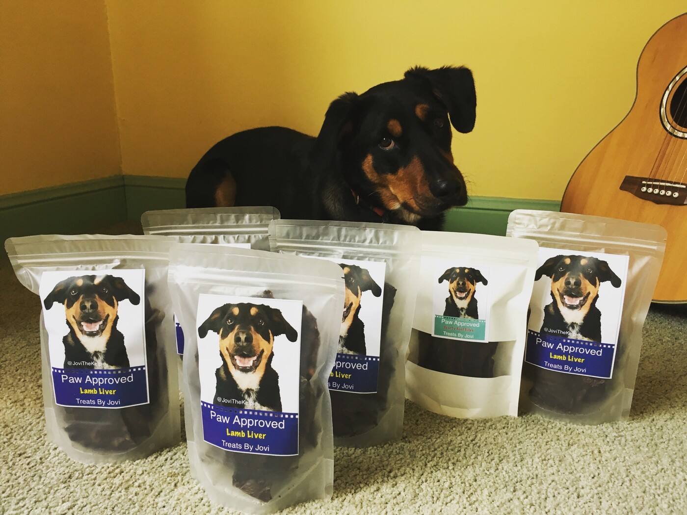 Paw Approved - Cover photo