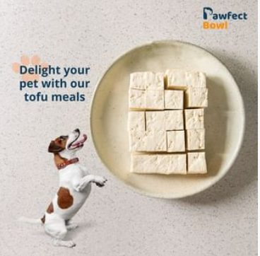 Pawfect Bowl - Cover photo