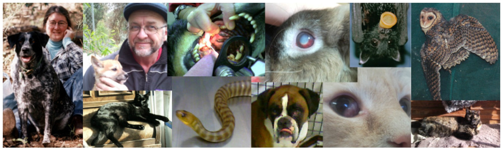 PAWS Mobile Pet Vet - Cover photo