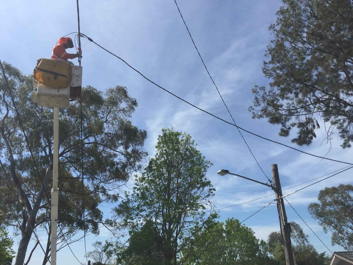 Payless Power Poles - Cover photo