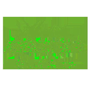 Paysagiste Bel Air Inc - Logo