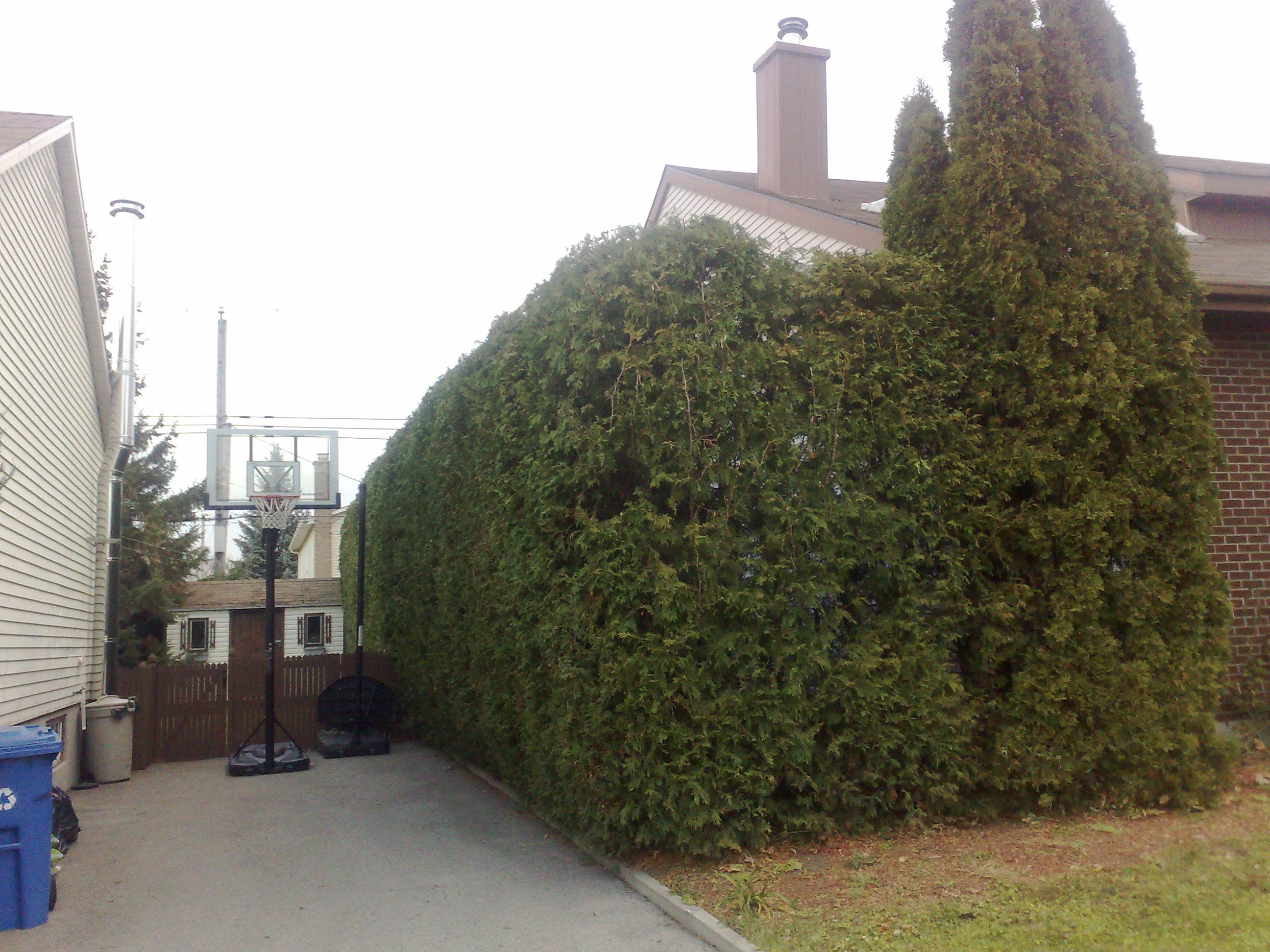 Paysagiste Oguz Landscaping - Logo