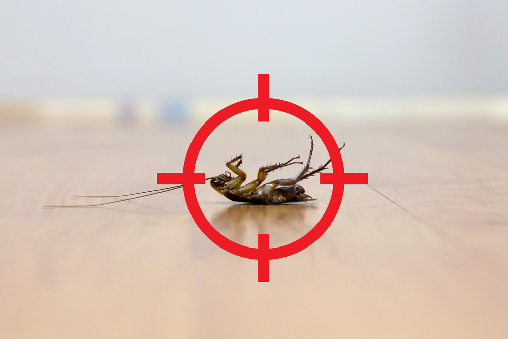 PDM Pest Control - Logo
