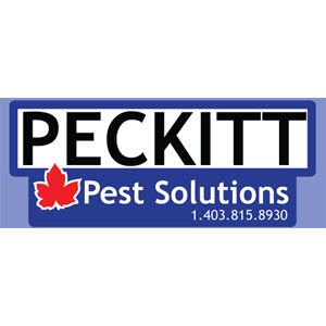 Peckitt Pest Solutions - Logo