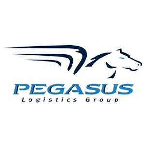 Pegasus Logistics Group Canada Ulc - Logo