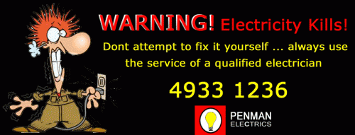 Penman Electrics - Logo
