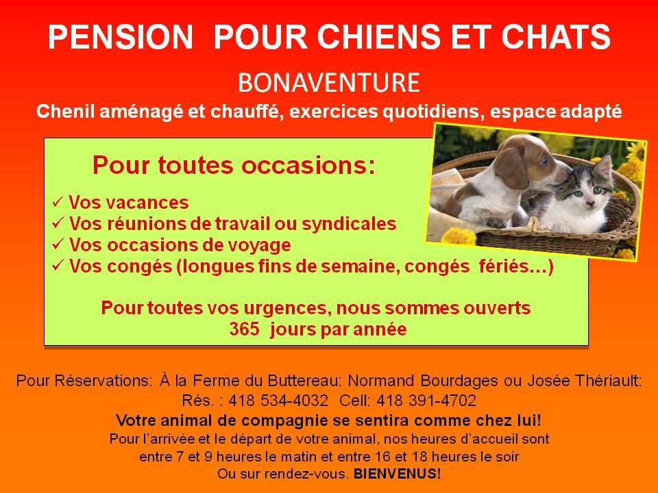 Pension Pour Chiens Et Chats - Logo