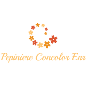 Pepiniere Concolor Enr - Logo