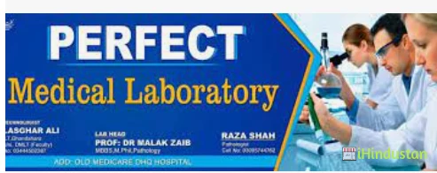 Perfect Medical Lab - Logo