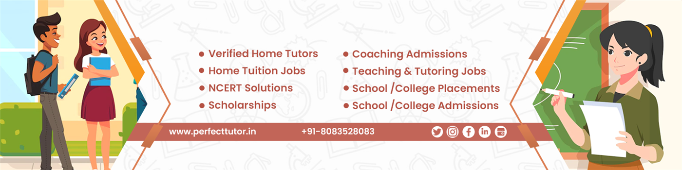 Perfect Tutor - Cover photo