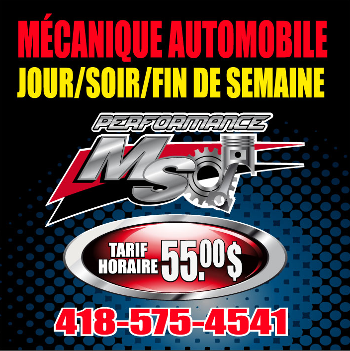 Performance MS - Logo