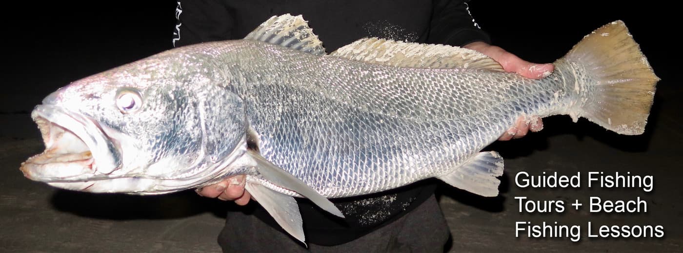 Perth Fishing Safaris - Cover photo