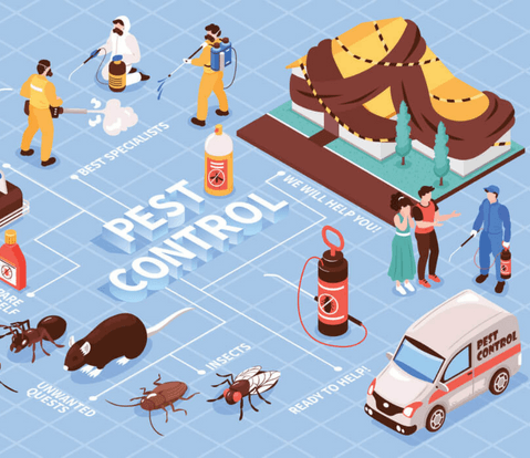 Pestcare India Pvt Ltd - Cover photo