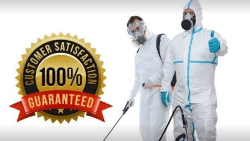 Pest control All Delhi - Logo