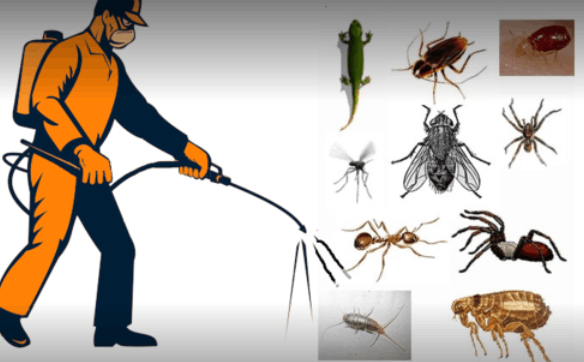 NPS commercial pest control and home sentizesen approved by government - Cover photo