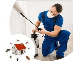 Pest Control Corporation - Cover photo