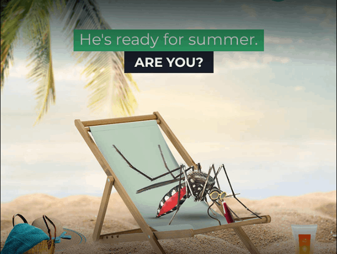 Pest Control & Management Services - Cover photo